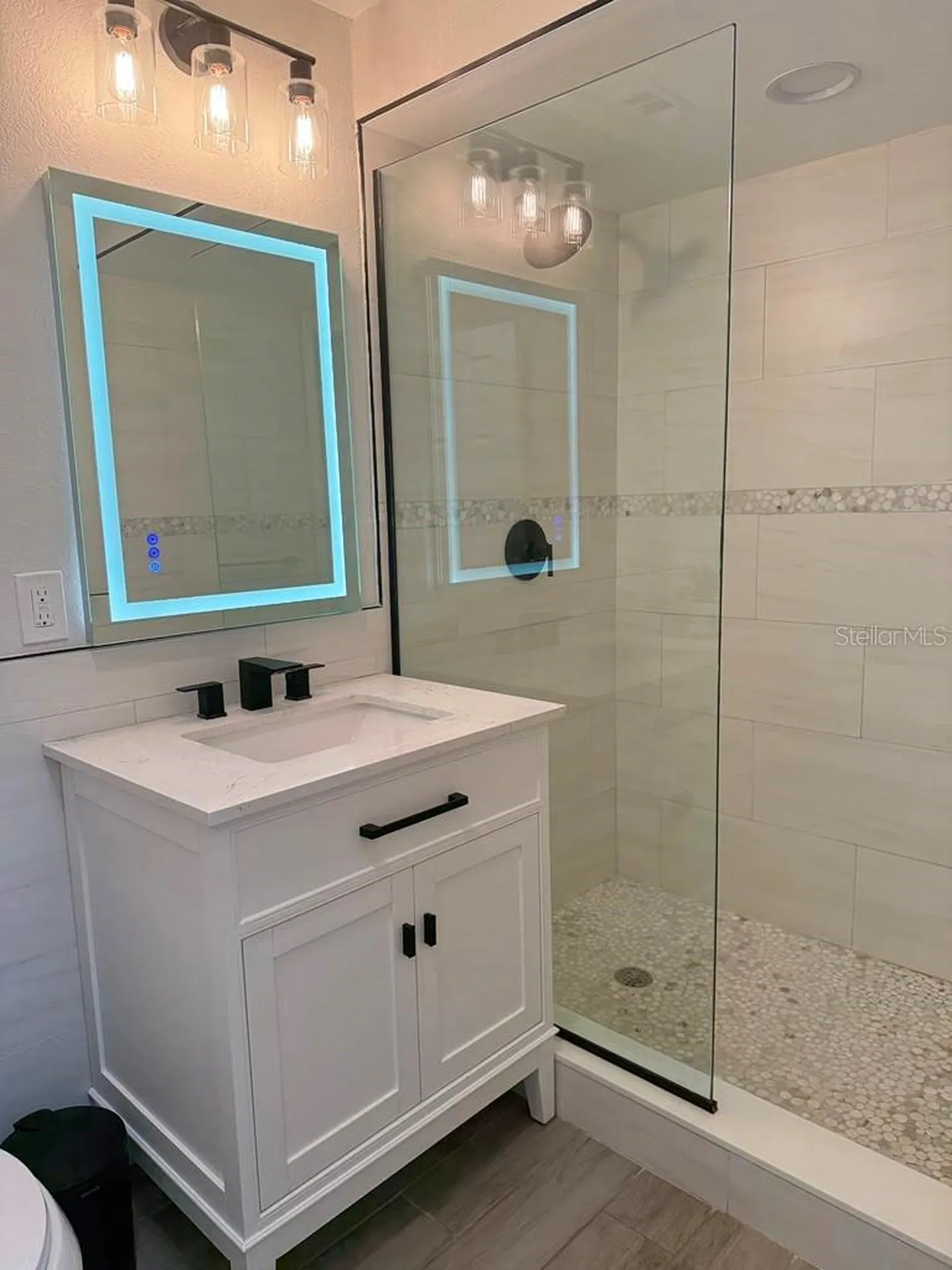 3147 W Cordelia Street Tampa FL 33607