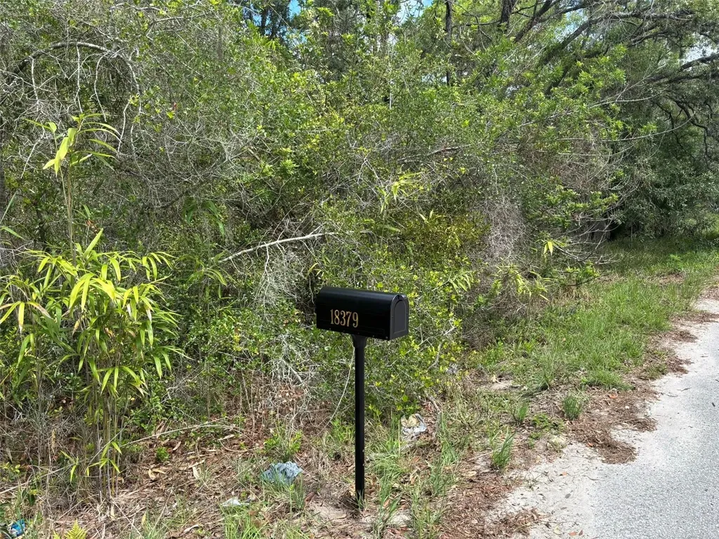 18379 Thomas Boulevard Hudson FL 34667