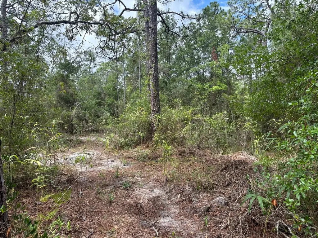 18379 Thomas Boulevard Hudson FL 34667