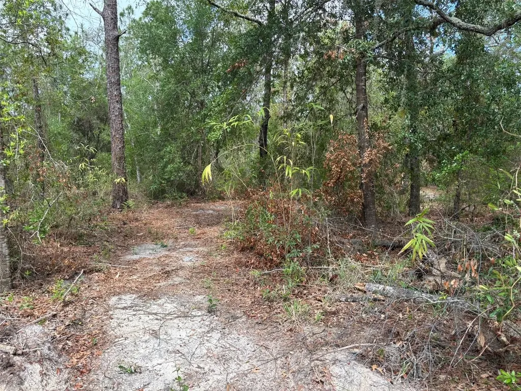 18379 Thomas Boulevard Hudson FL 34667