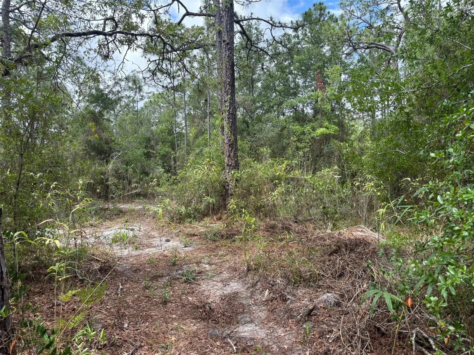 18379 Thomas Boulevard Hudson FL 34667