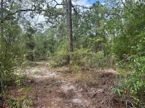 18379 Thomas Boulevard Hudson FL 34667