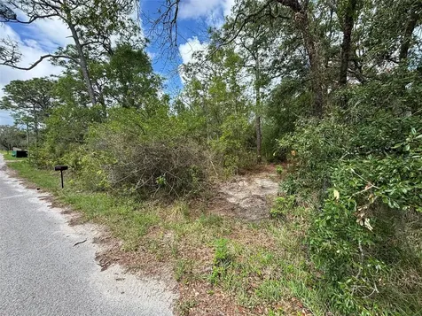 18379 Thomas Boulevard Hudson FL 34667