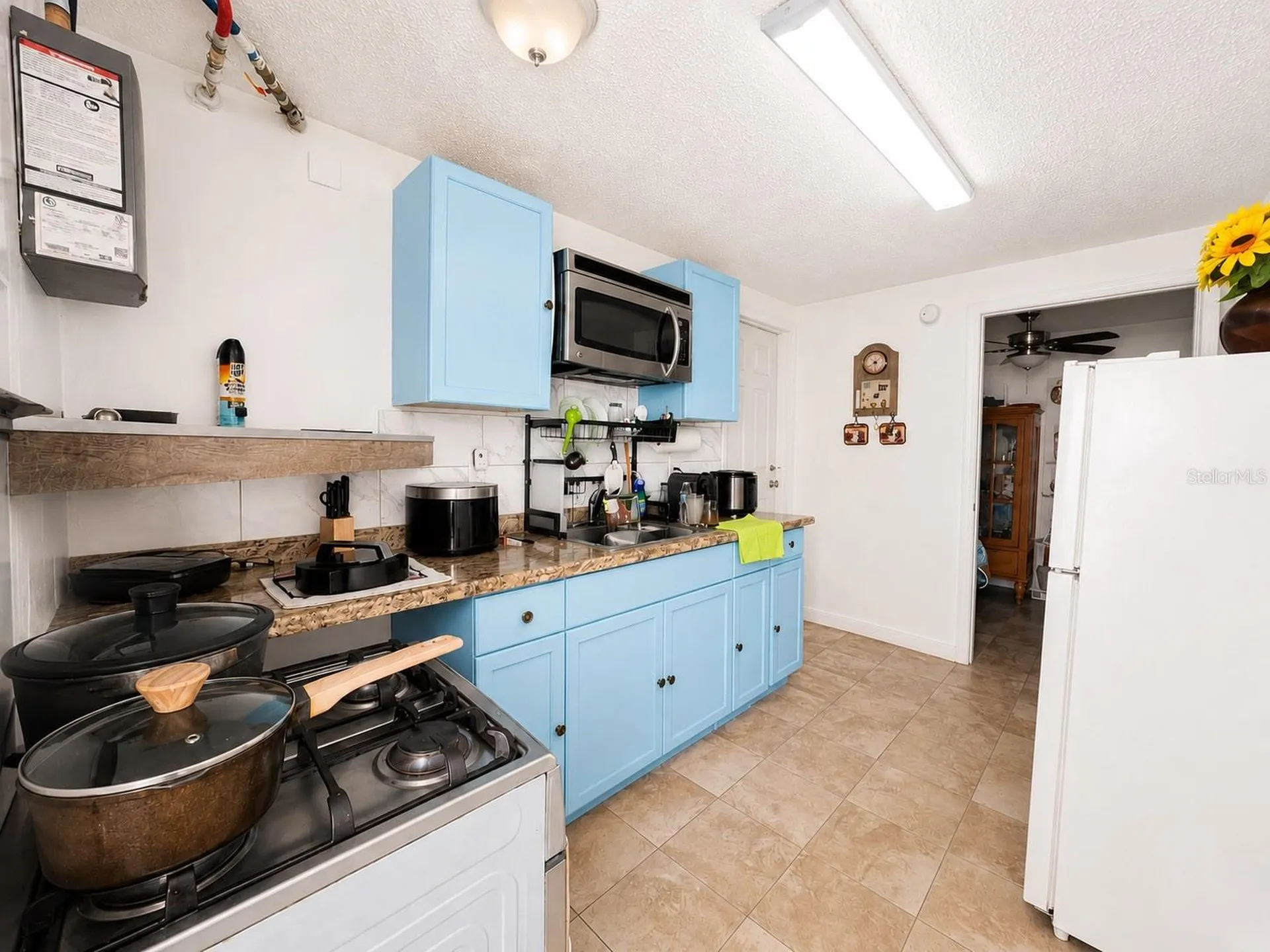 1341 Foxwood Drive Lutz FL 33549