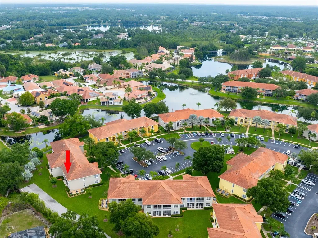 6815 Dali Avenue Land O Lakes FL 34637
