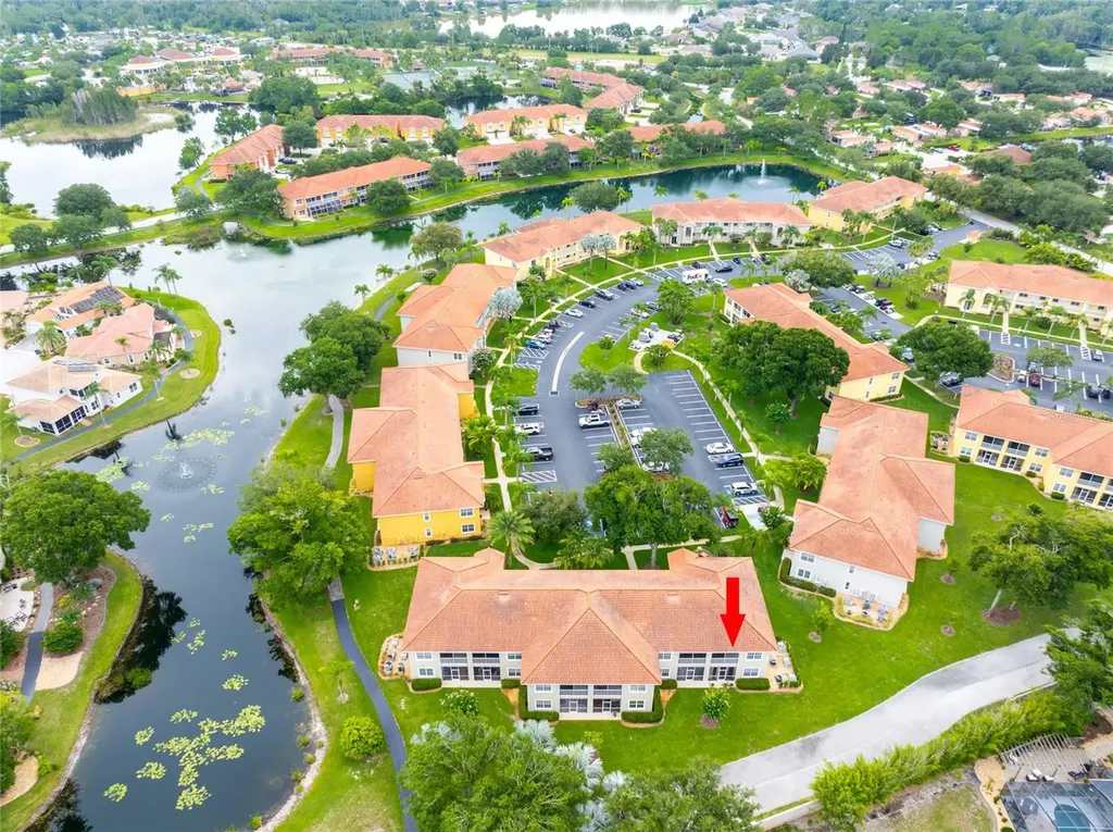 6815 Dali Avenue Land O Lakes FL 34637