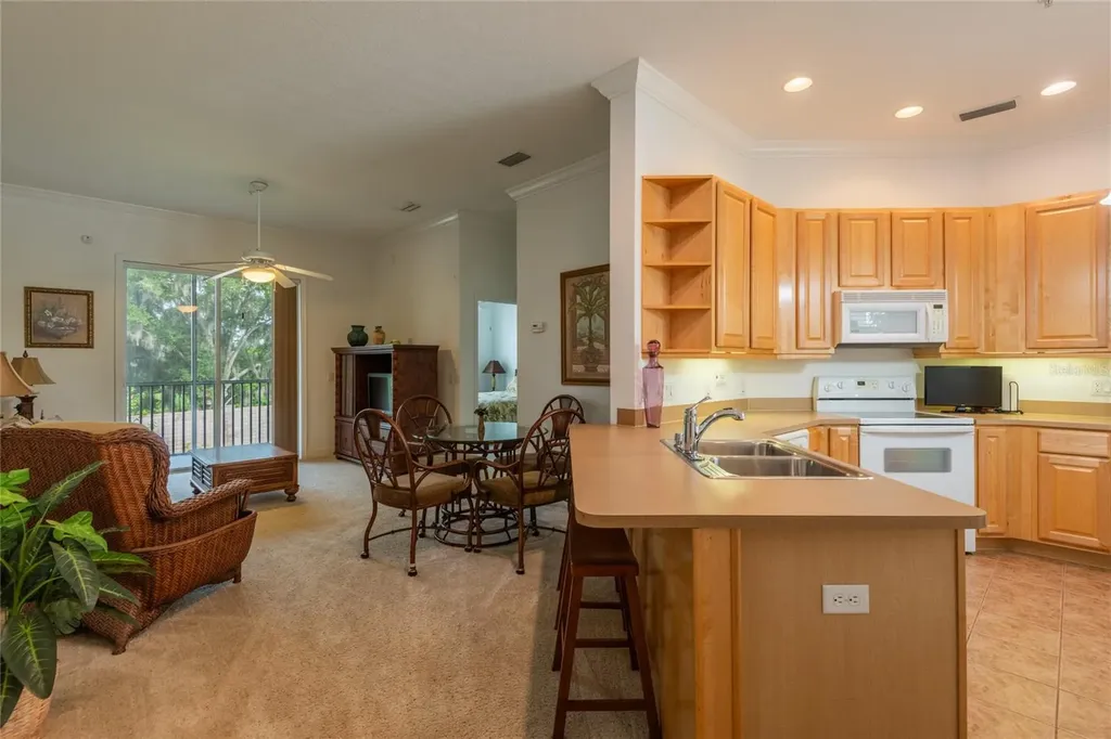 6815 Dali Avenue Land O Lakes FL 34637