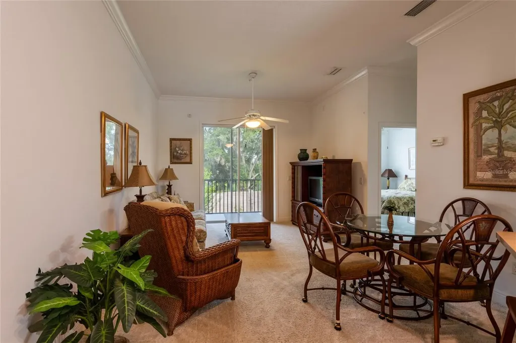 6815 Dali Avenue Land O Lakes FL 34637