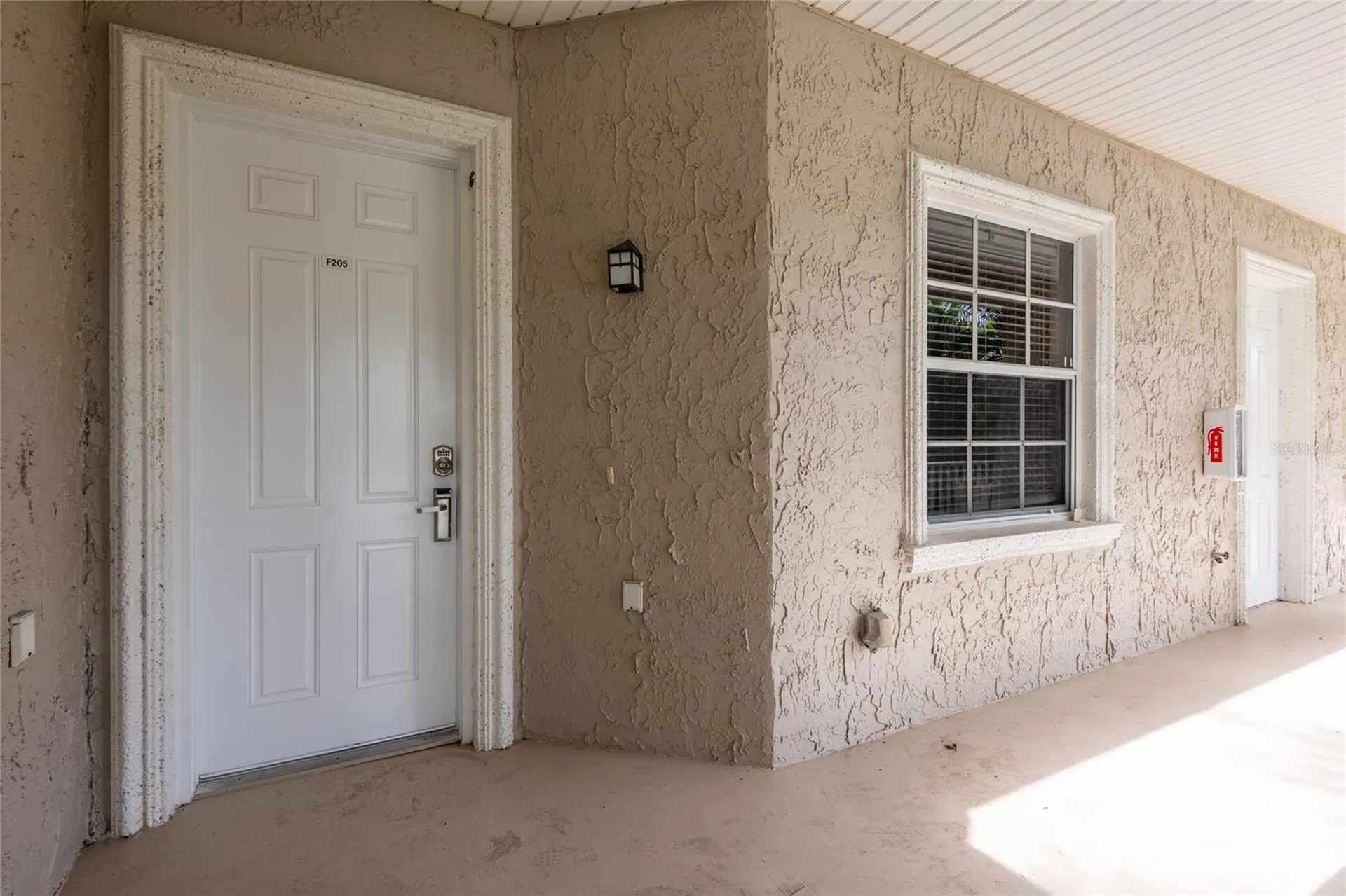 6815 Dali Avenue Land O Lakes FL 34637