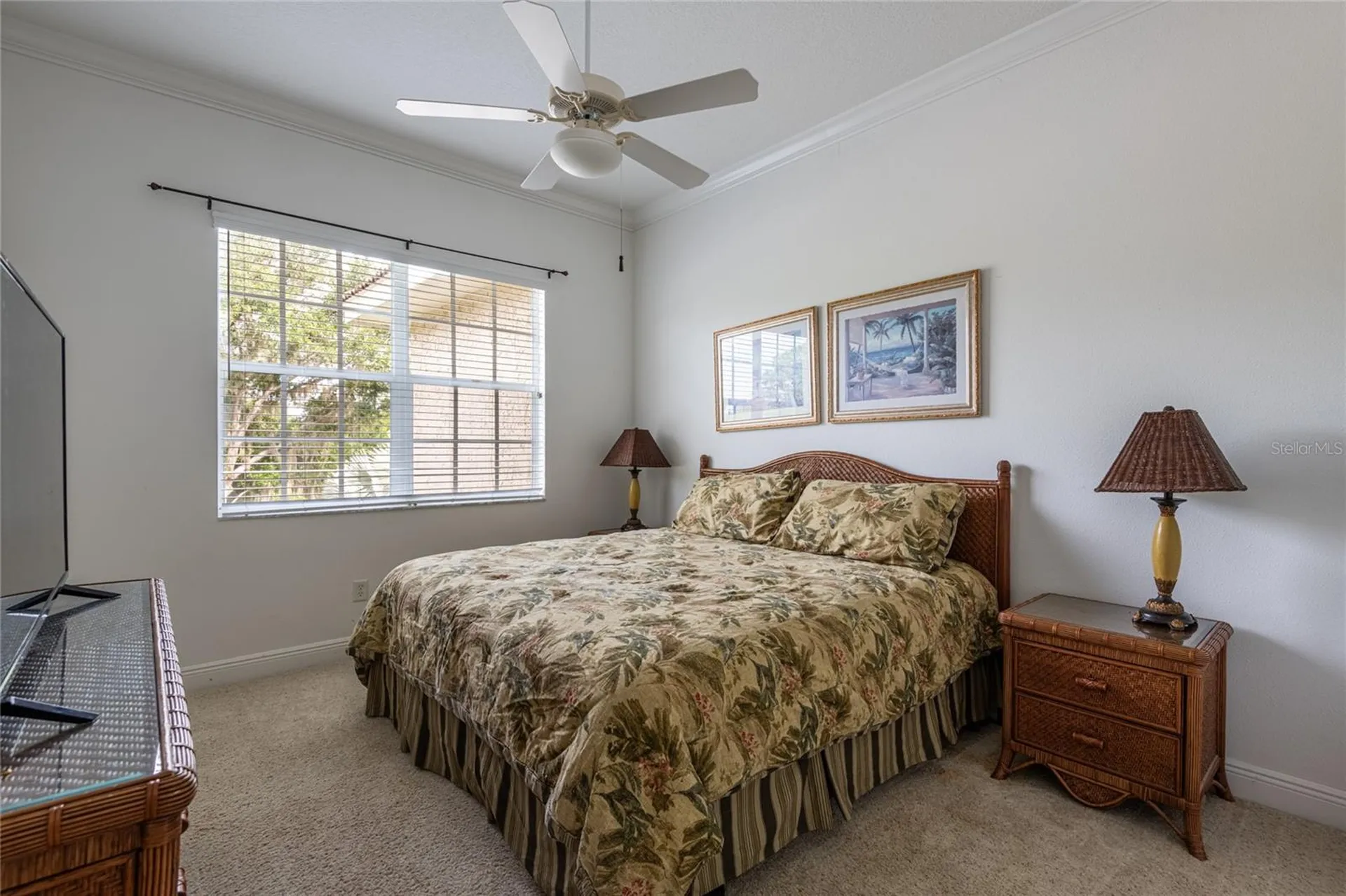 6815 Dali Avenue Land O Lakes FL 34637