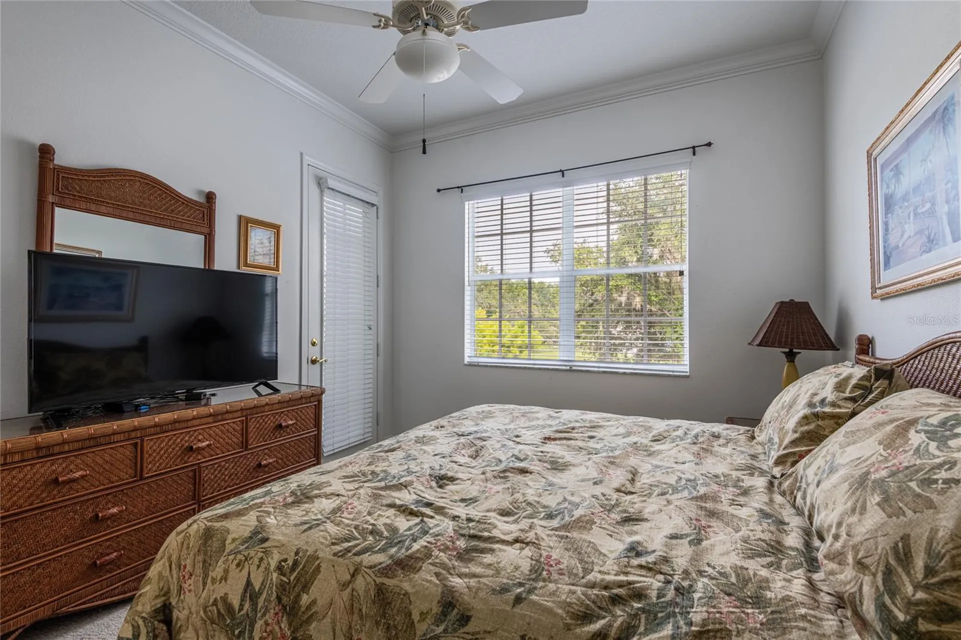 6815 Dali Avenue Land O Lakes FL 34637