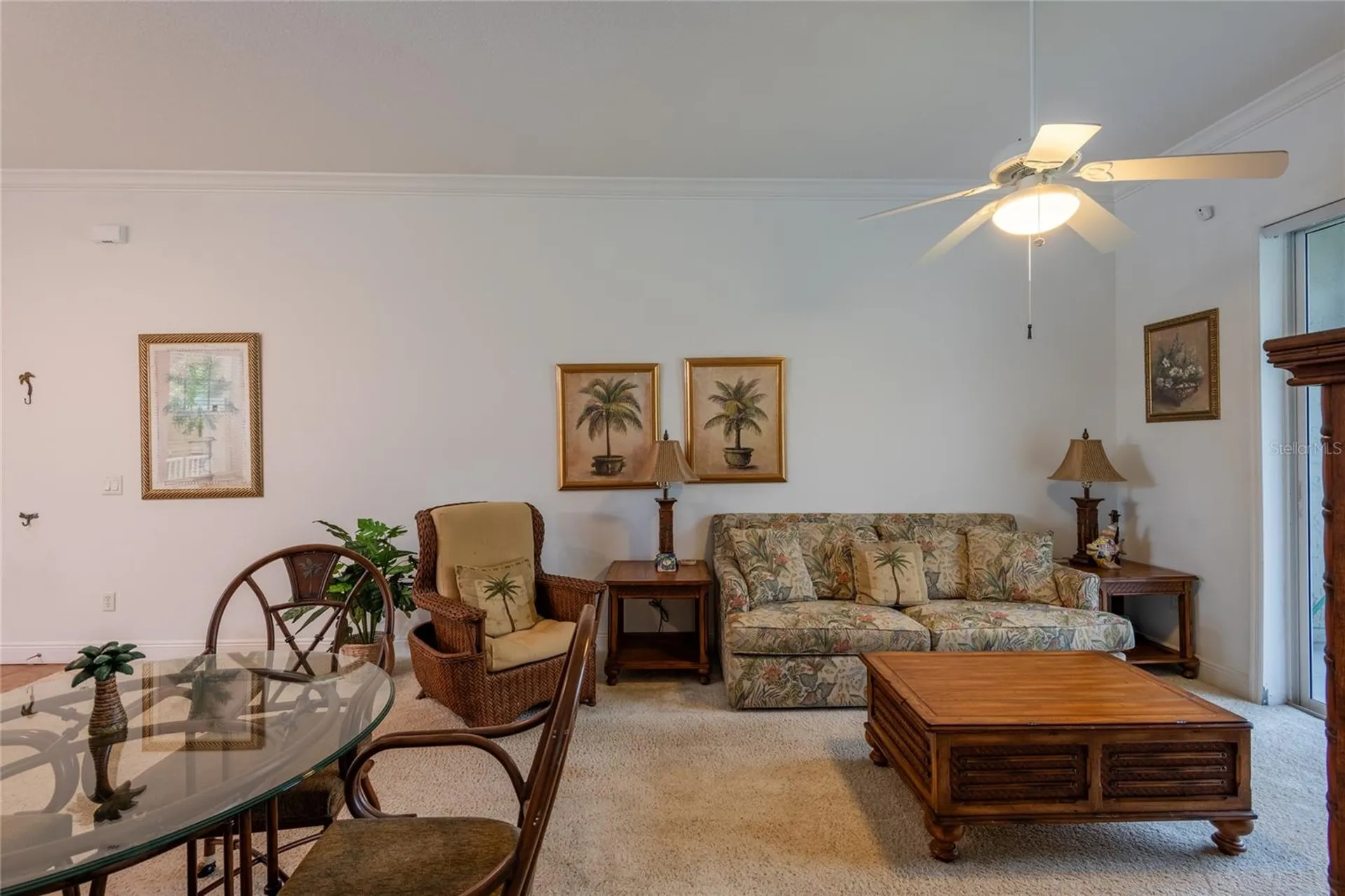 6815 Dali Avenue Land O Lakes FL 34637