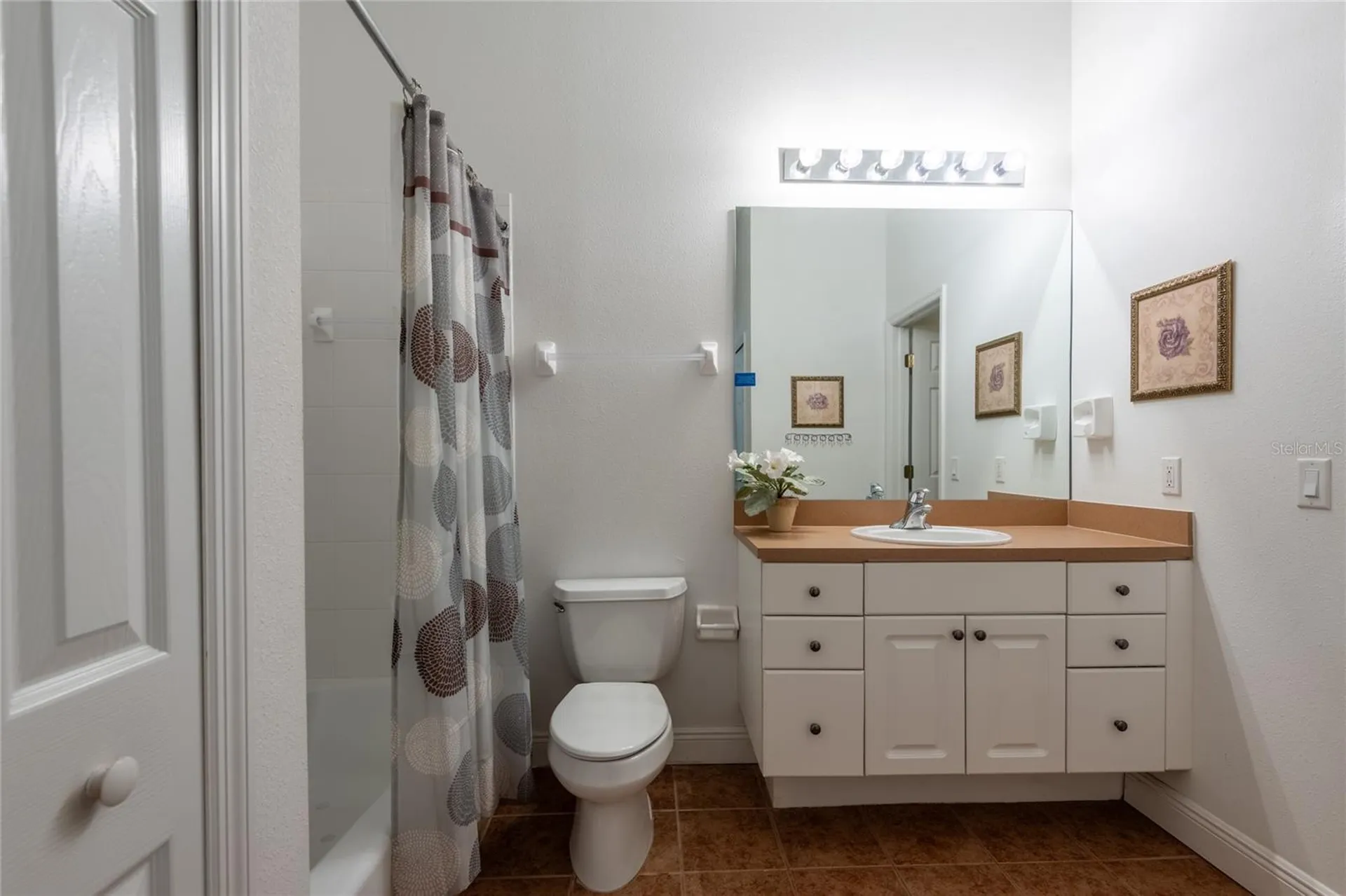 6815 Dali Avenue Land O Lakes FL 34637