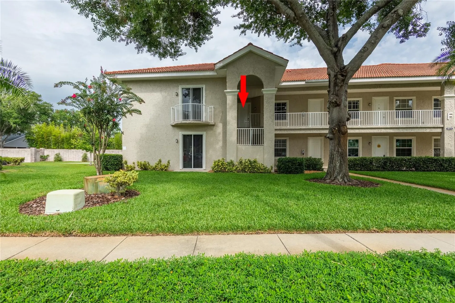6815 Dali Avenue Land O Lakes FL 34637
