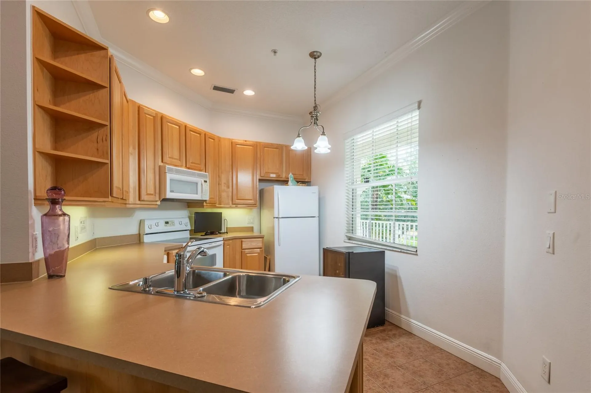 6815 Dali Avenue Land O Lakes FL 34637
