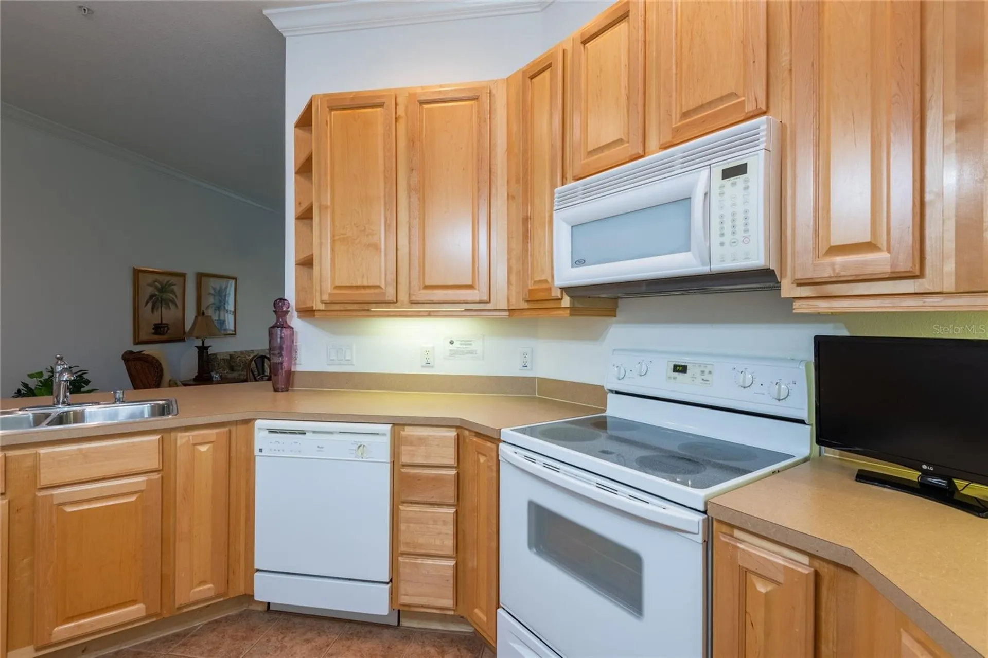 6815 Dali Avenue Land O Lakes FL 34637