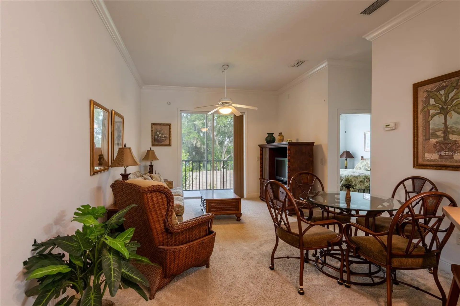 6815 Dali Avenue Land O Lakes FL 34637