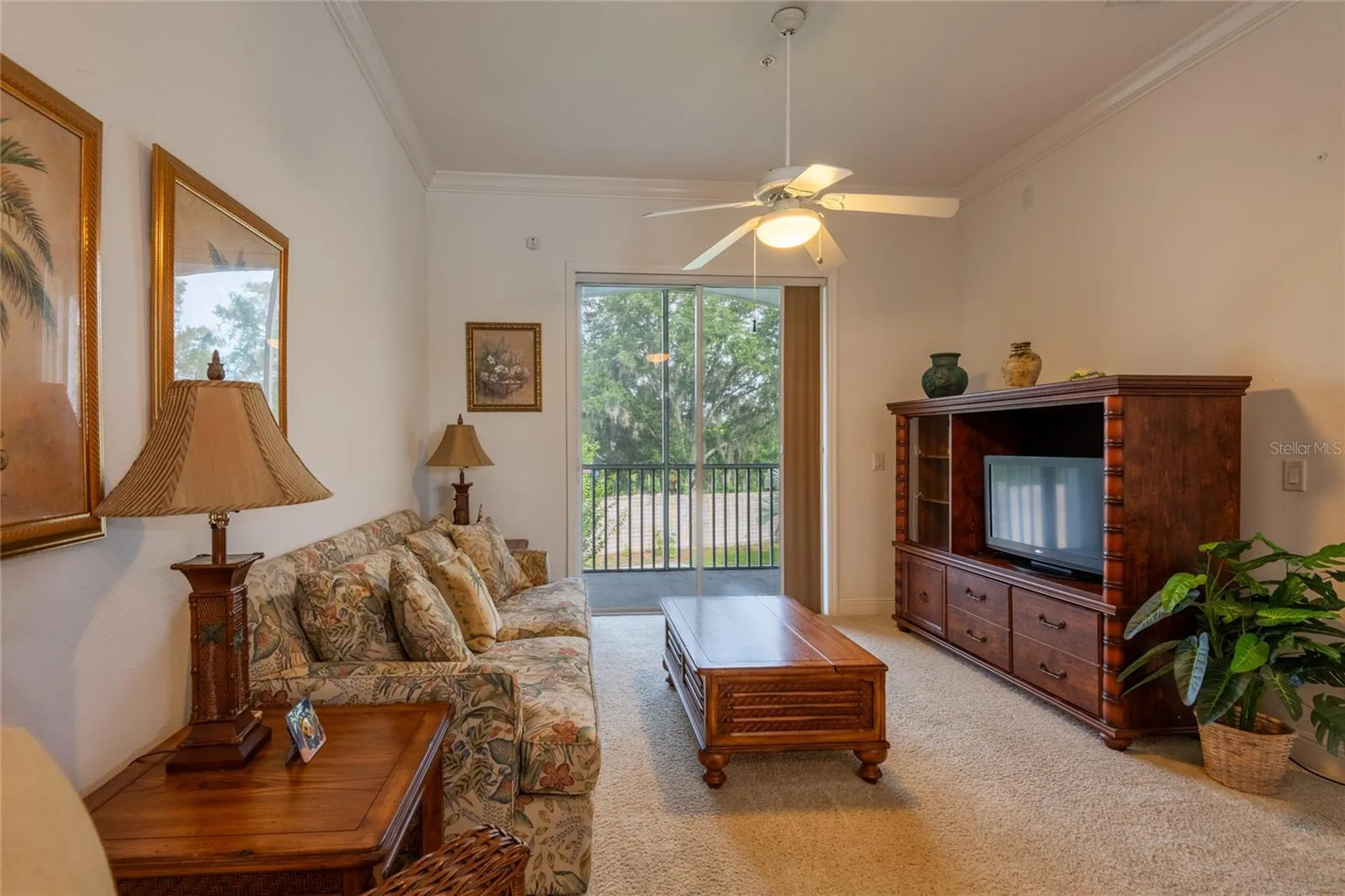 6815 Dali Avenue Land O Lakes FL 34637