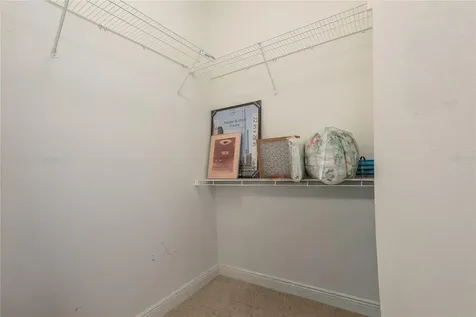 6815 Dali Avenue Land O Lakes FL 34637