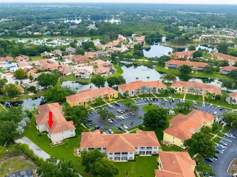 6815 Dali Avenue Land O Lakes FL 34637