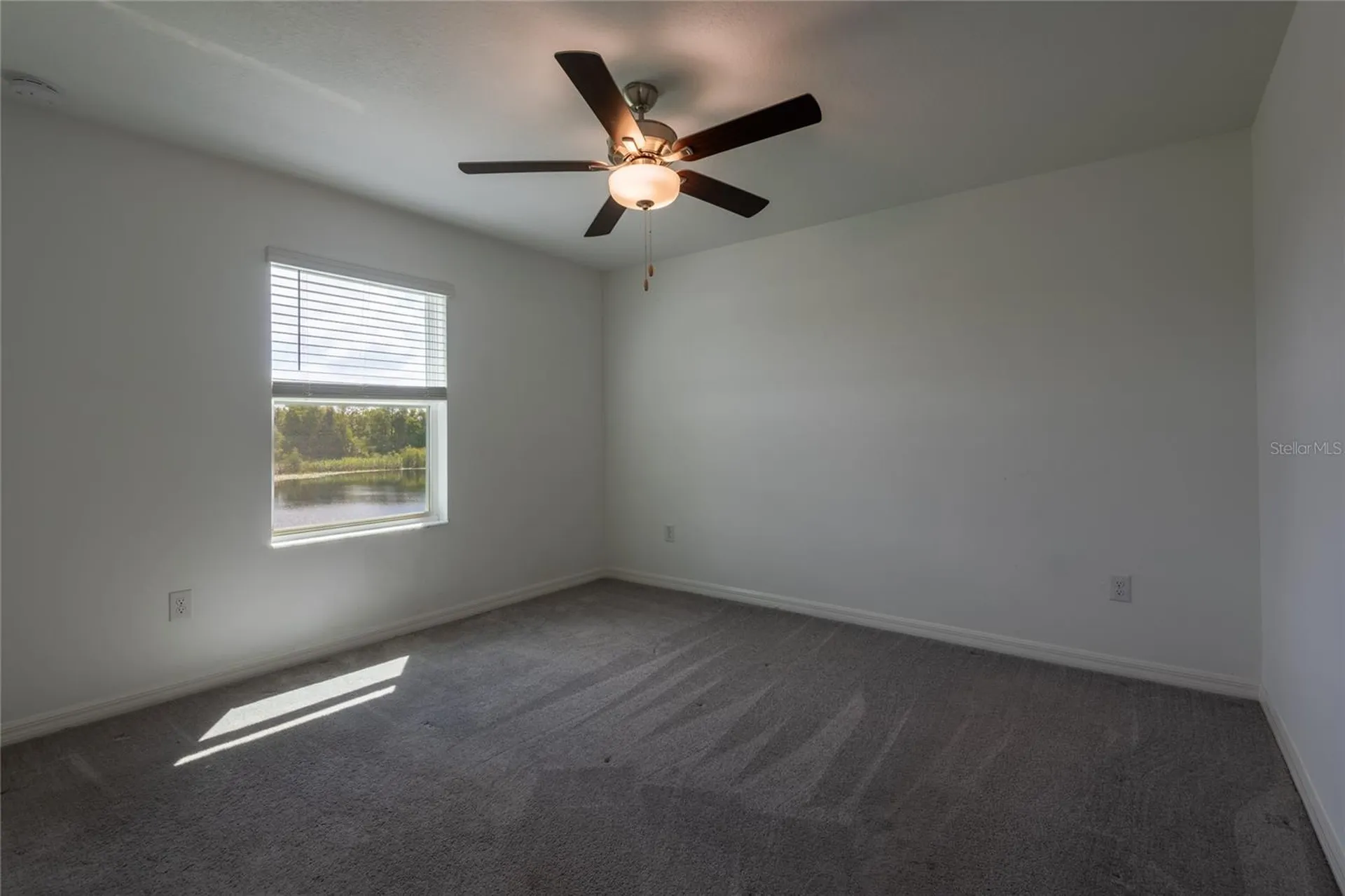 6262 Shiner Street Land O Lakes FL 34638