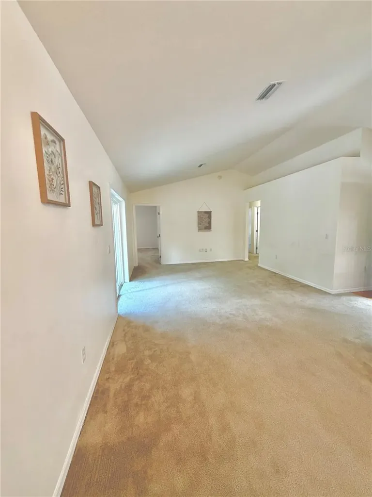 13 Fisher Trail Terrace Ocklawaha FL 32179
