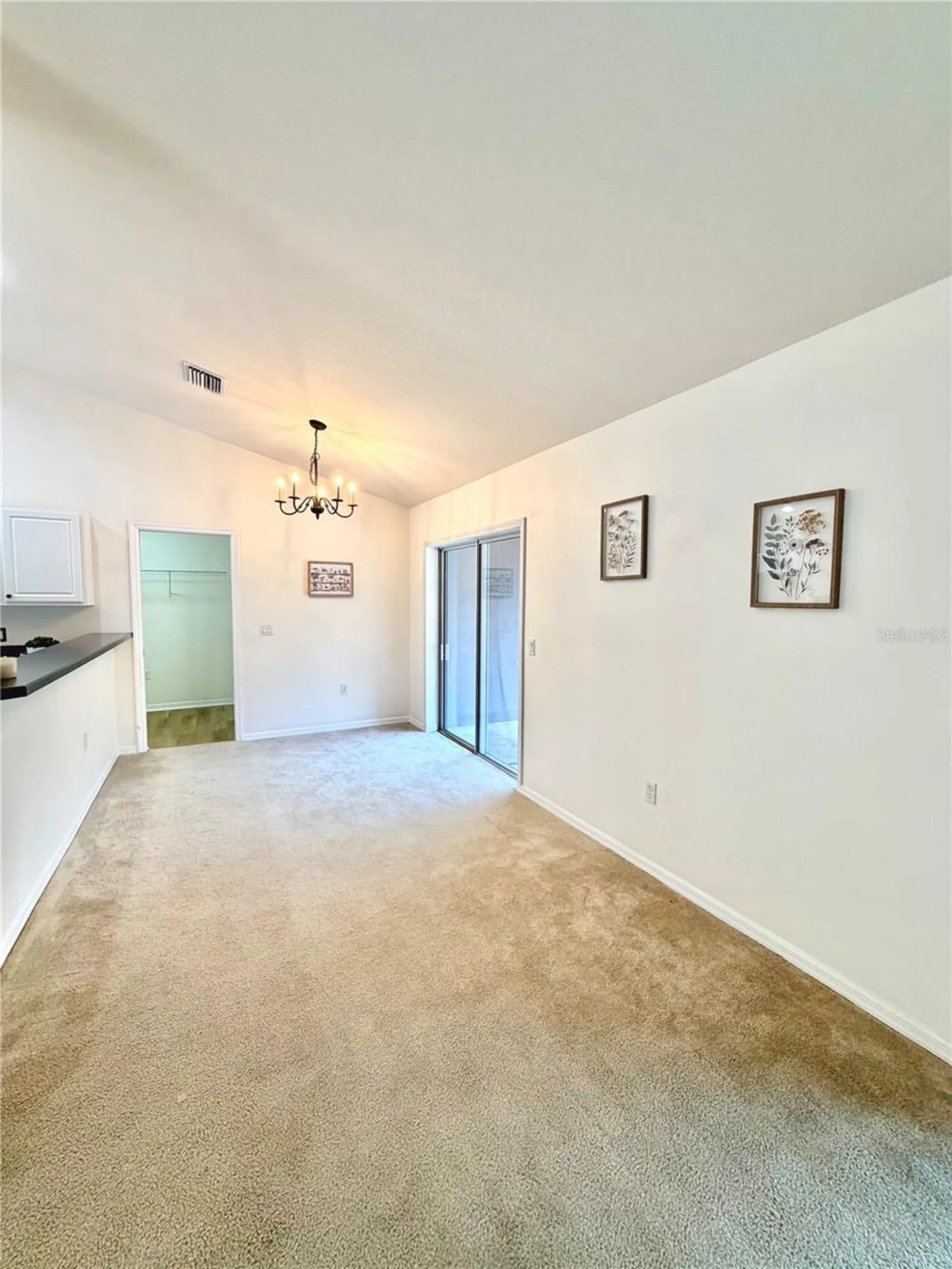 13 Fisher Trail Terrace Ocklawaha FL 32179
