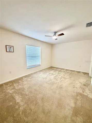 13 Fisher Trail Terrace Ocklawaha FL 32179