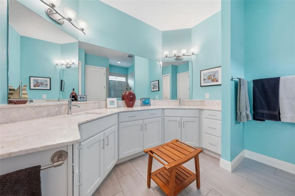 8707 Providence Court Mount Dora FL 32757