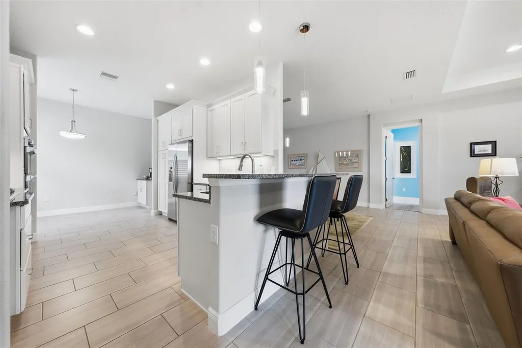 8707 Providence Court Mount Dora FL 32757