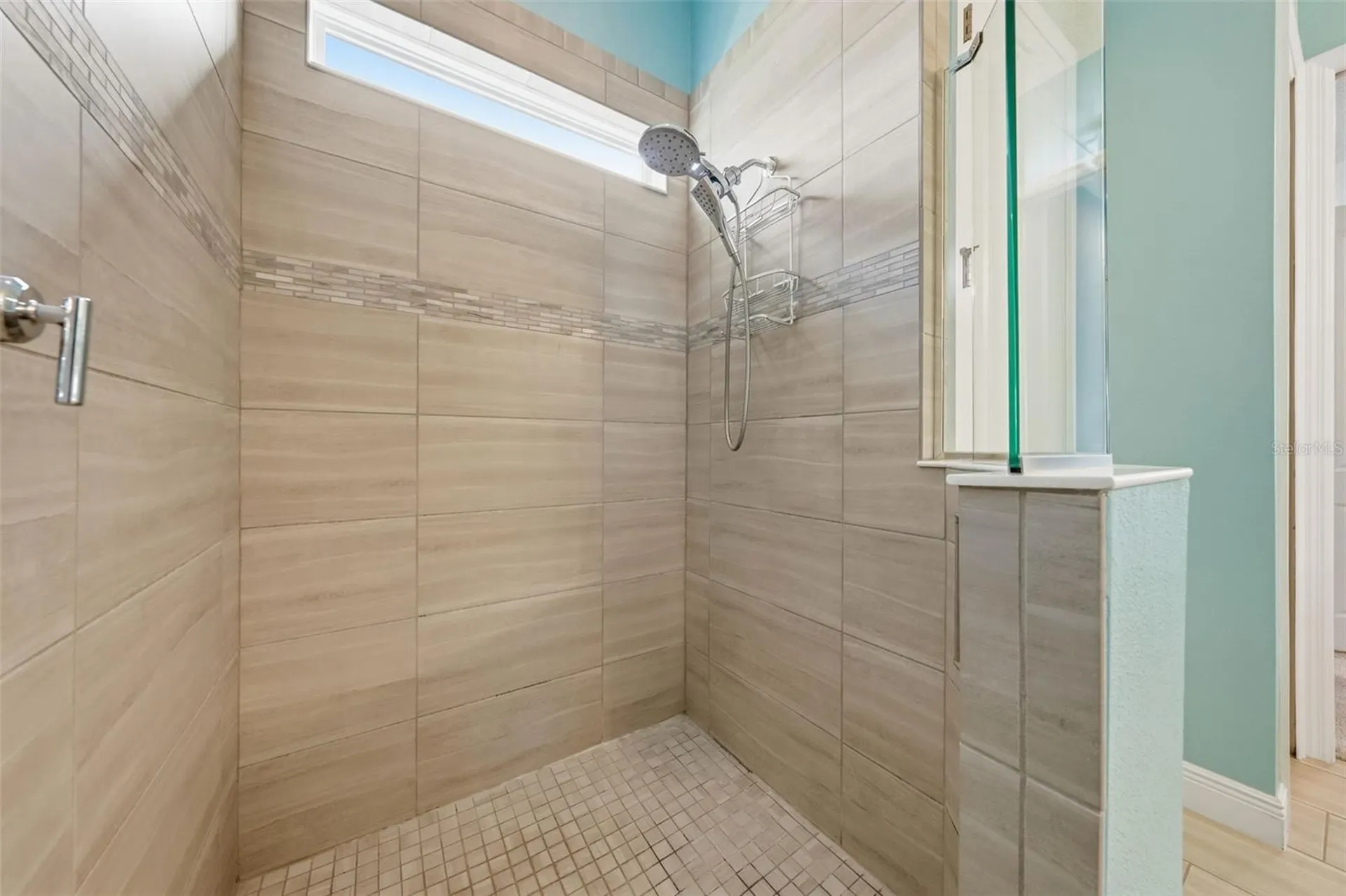 8707 Providence Court Mount Dora FL 32757