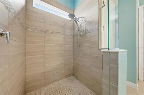 8707 Providence Court Mount Dora FL 32757