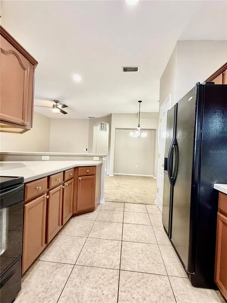 1144 Andrew Aviles Circle Tampa FL 33619
