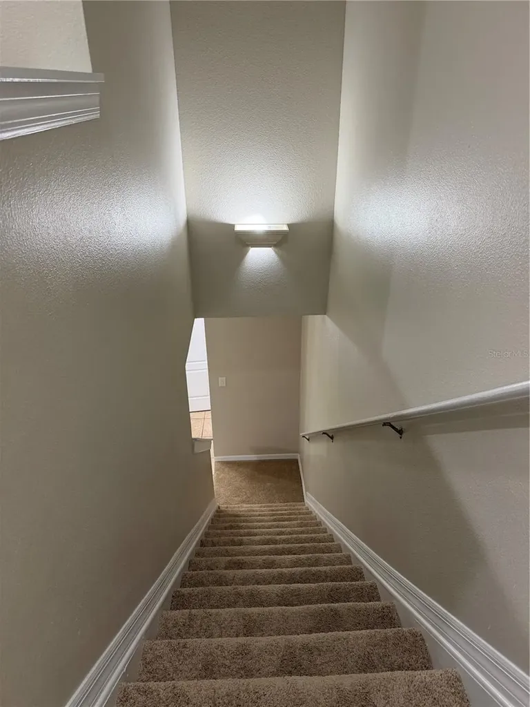 1144 Andrew Aviles Circle Tampa FL 33619
