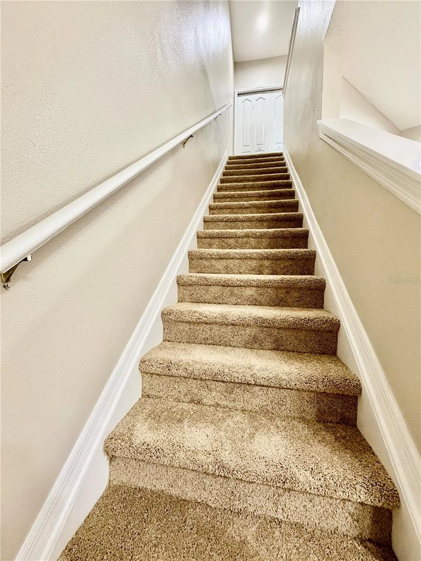 1144 Andrew Aviles Circle Tampa FL 33619