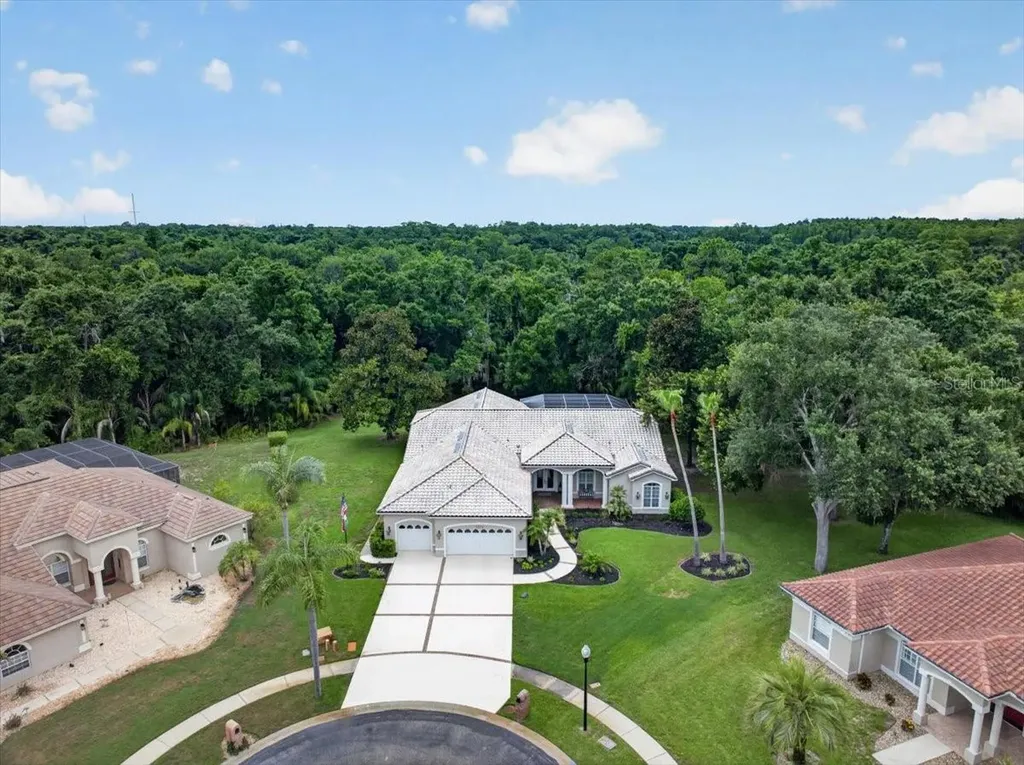 3874 Crescent Cove Place Tarpon Springs FL 34688