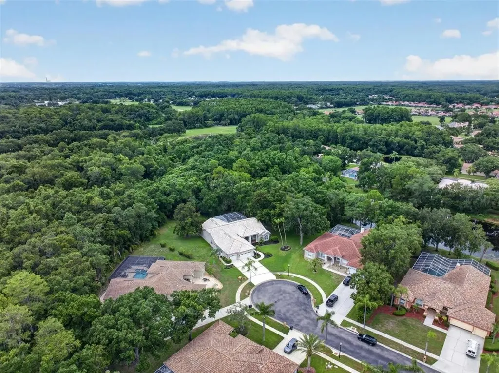 3874 Crescent Cove Place Tarpon Springs FL 34688