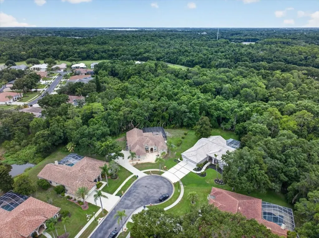 3874 Crescent Cove Place Tarpon Springs FL 34688
