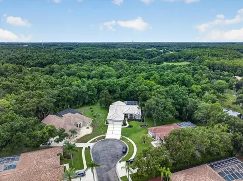 3874 Crescent Cove Place Tarpon Springs FL 34688