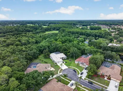 3874 Crescent Cove Place Tarpon Springs FL 34688
