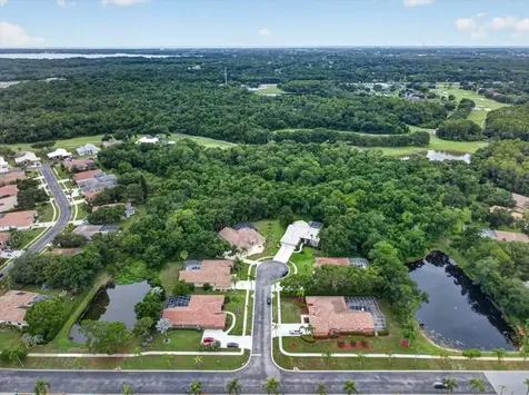 3874 Crescent Cove Place Tarpon Springs FL 34688