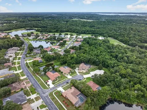 3874 Crescent Cove Place Tarpon Springs FL 34688