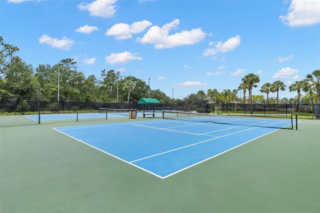 20405 Autumn Fern Avenue Tampa FL 33647