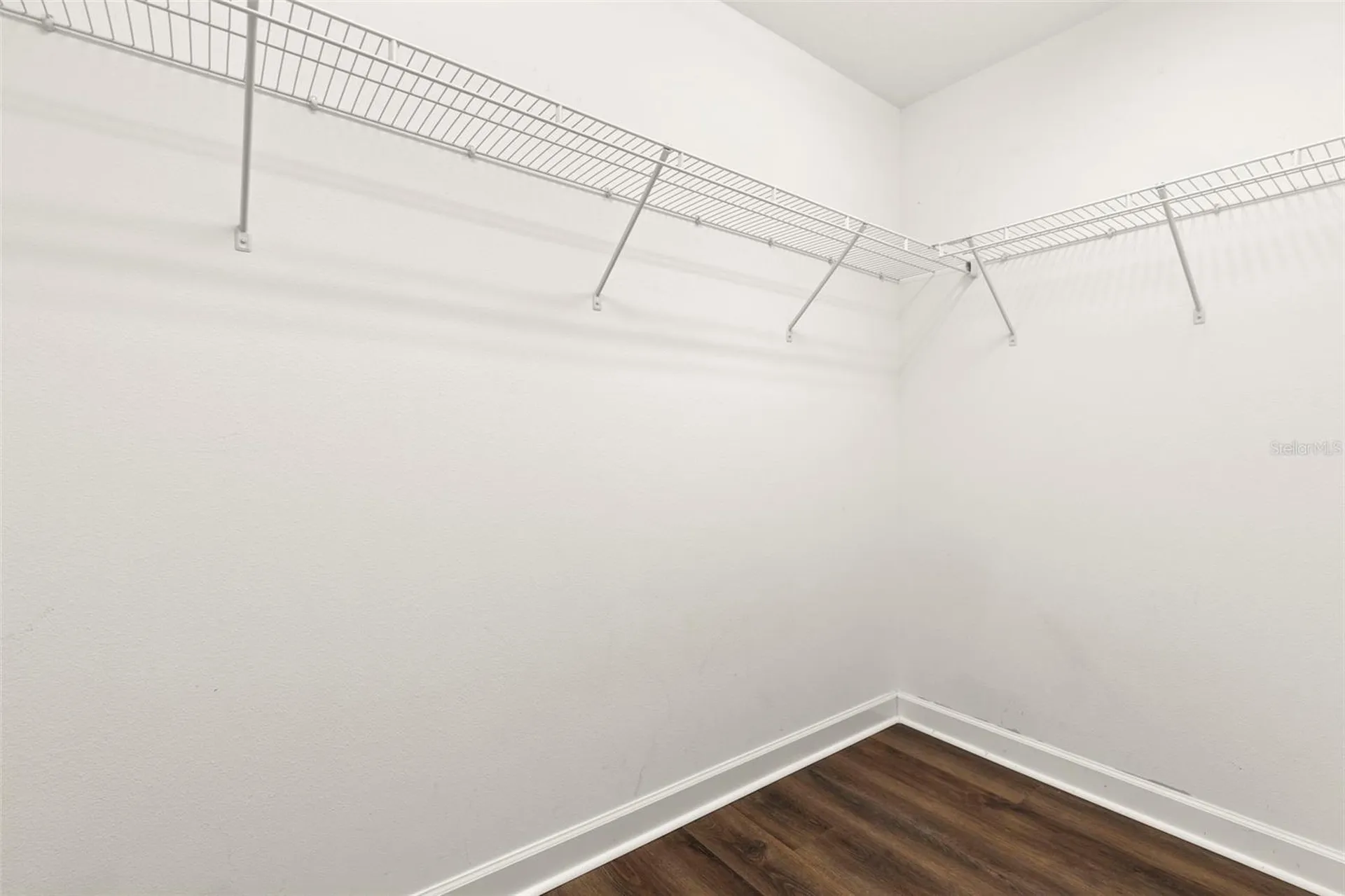 20405 Autumn Fern Avenue Tampa FL 33647