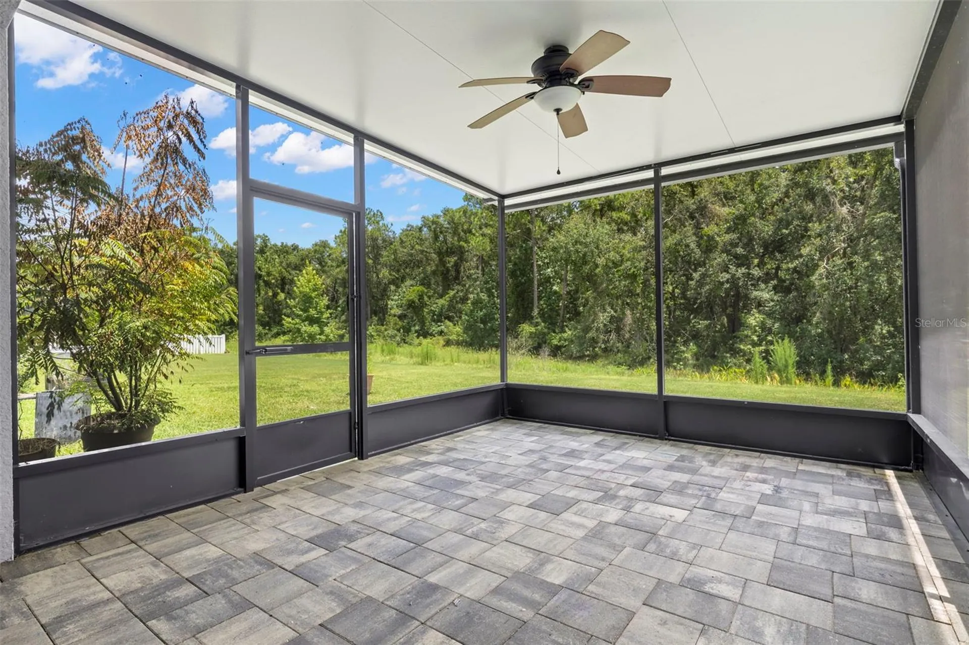 20405 Autumn Fern Avenue Tampa FL 33647