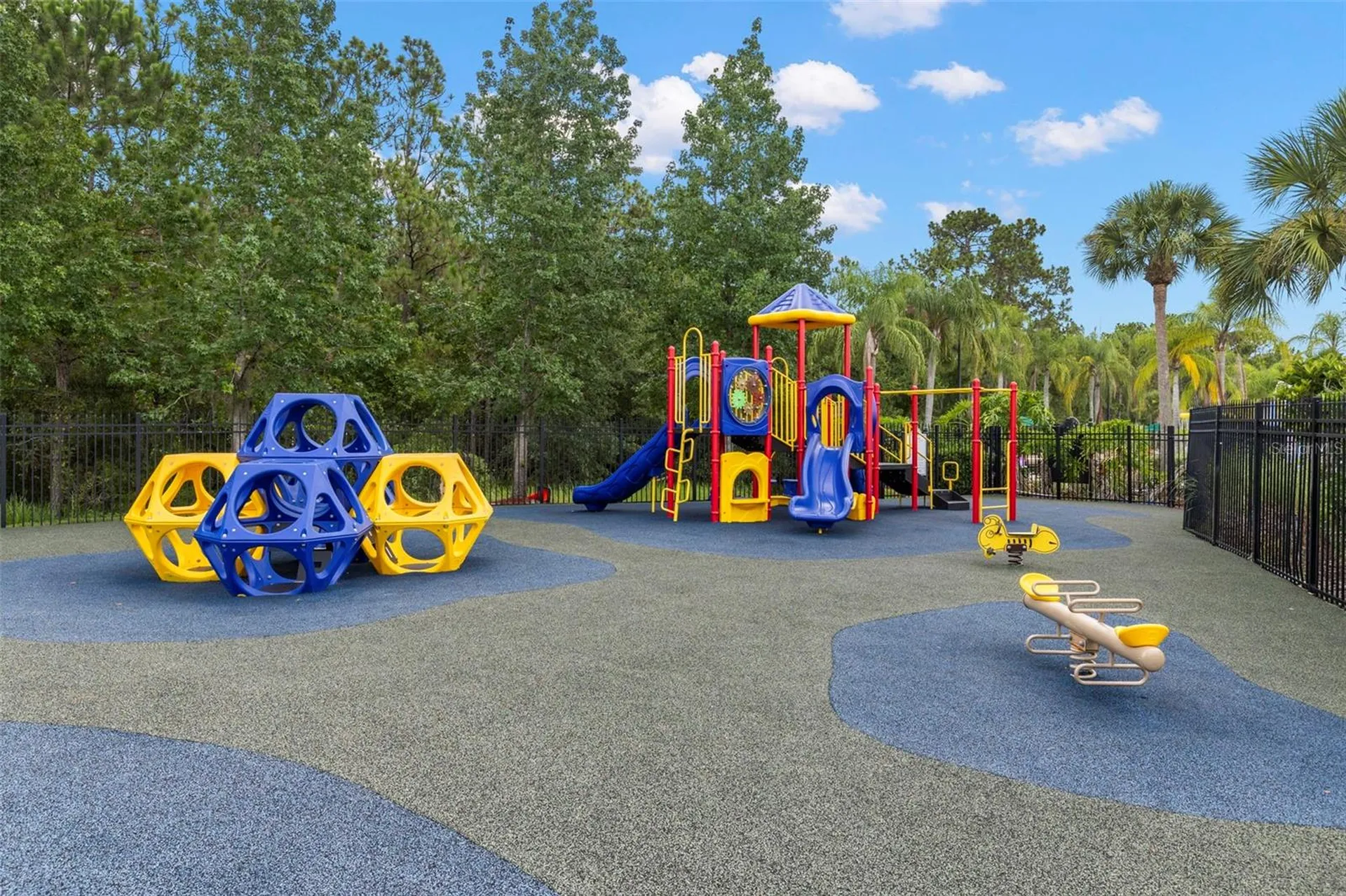 20405 Autumn Fern Avenue Tampa FL 33647