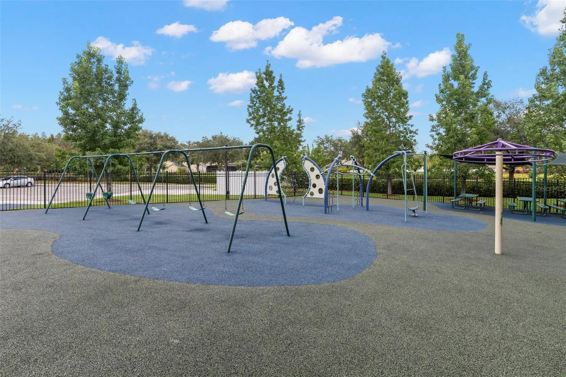20405 Autumn Fern Avenue Tampa FL 33647