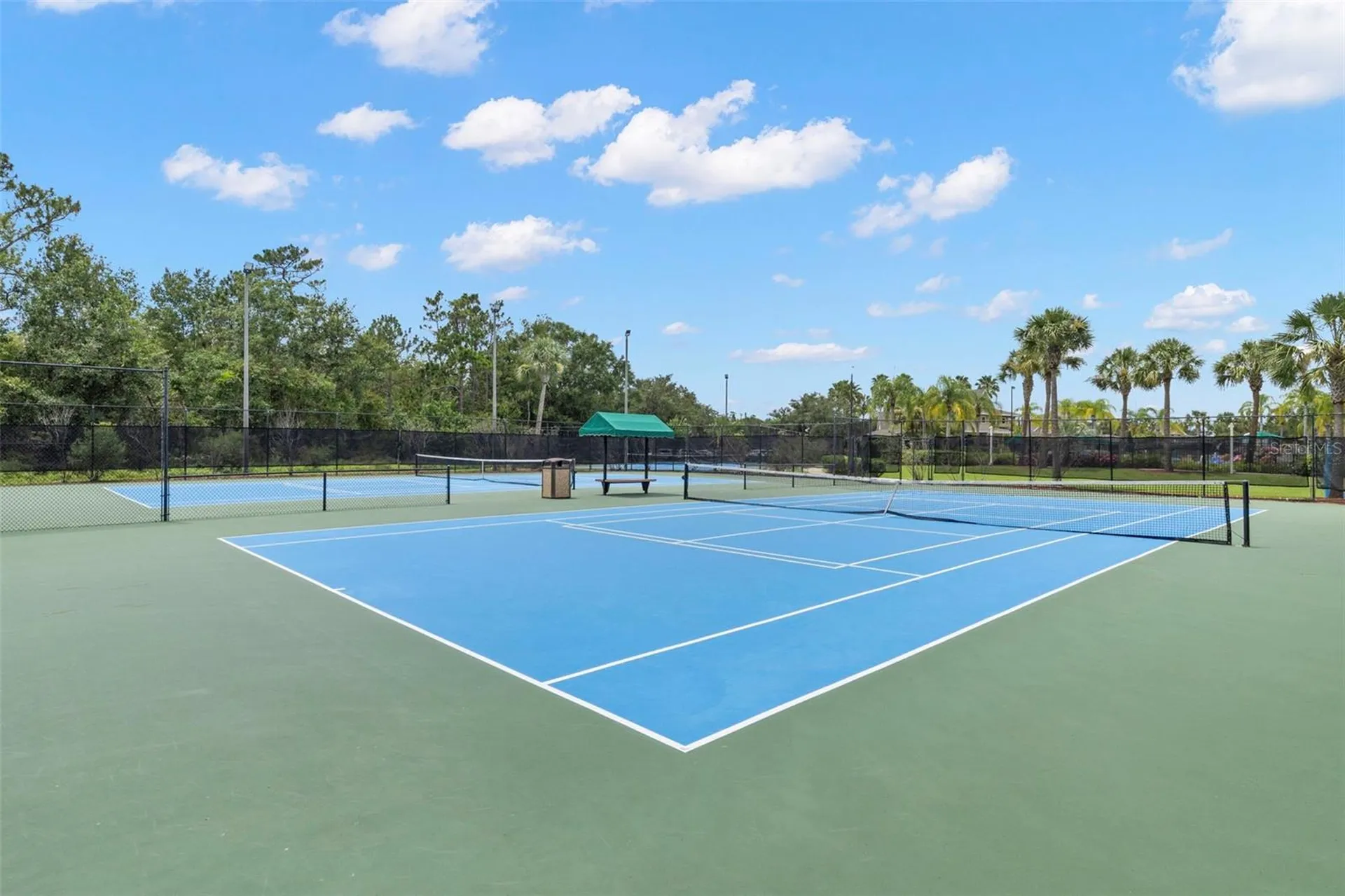 20405 Autumn Fern Avenue Tampa FL 33647