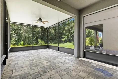 20405 Autumn Fern Avenue Tampa FL 33647