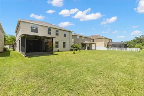 20405 Autumn Fern Avenue Tampa FL 33647